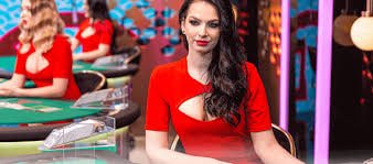 qk365 Live Casino